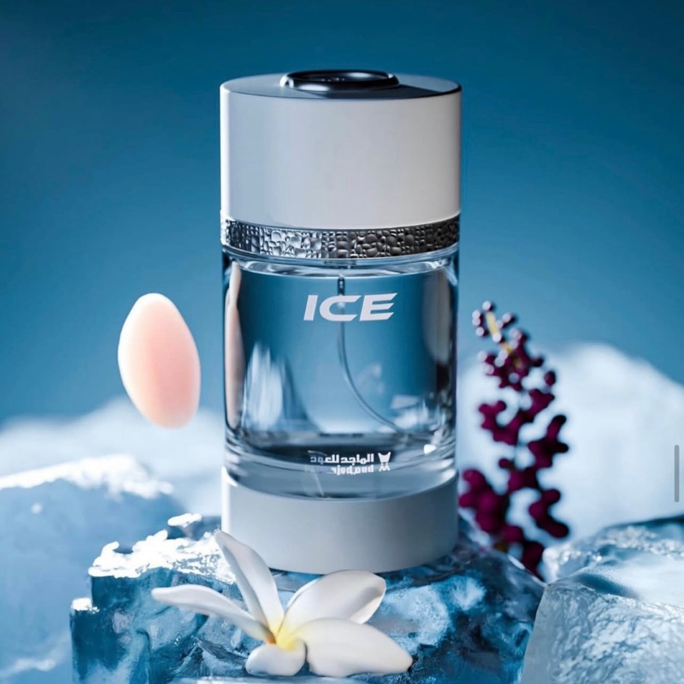 MENS FRAGRANCE